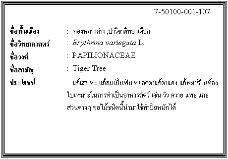 กล่องข้อความ: 7-50100-001-107 ชื่อพื้นเมือง : ทองหลางด่าง,ปาริชาติทองเผือก ชื่อวิทยาศาสตร์ : Erythrina variegata L. ชื่อวงศ์ : PAPILIONACEAE ชื่อสามัญ : Tiger Tree ประโยชน์ : แก้เสมหะ แก้ลมเป็นพิษ หยอดตาแก้ตาแดง แก้พยาธิในท้อง ใบเหมาะในการทำเป็นอาหารสัตว์ เช่น วัว ควาย แพะ แกะ ส่วนต่างๆ ขอไม้ชนิดนี้นำมาใช้ทำป็ยหมักได้